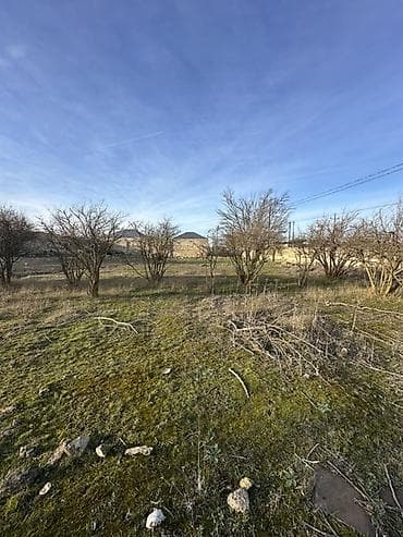 19 sot, Tikinti, Makler, Kupça (Çıxarış)