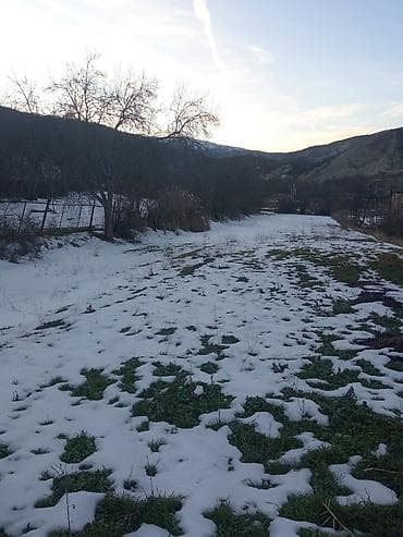 kirayə ev və mənzil: Kənd təsərrüfatı — 1