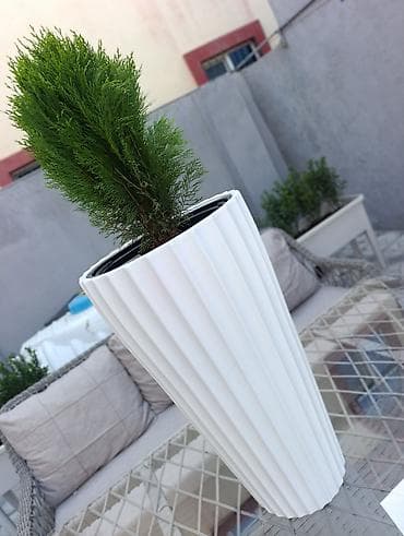 maştagada satilan evler: Bag evlərinə villalara həyət evlərinə, bina evlərinə baglarina — 4