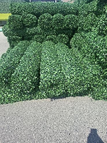 zabor: Məhsul: Süni yaşıl hasar panelləri (hedge/boxwood tipli dekorativ — 2
