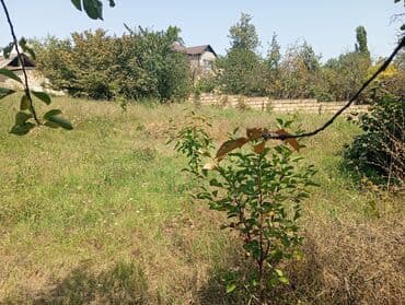 xacmazda torpaq satilir: 6 sot — 8