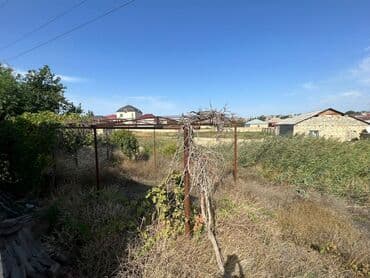 4 sot, Kənd təsərrüfatı, Makler, Kupça (Çıxarış)