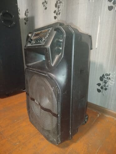 ses dinleme cihazı: Kolonka, Növ - Portativ, rəng - Qara — 8