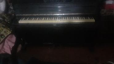 Səs avadanlığı: Upright pianino – klassik qara korpus, tam ölçülü 88 klaviş. - — 1