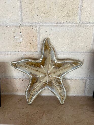 ekran sekilleri 2023: Фигура — 1