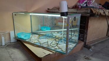 qizil baliq satisi: Akvaryum təxmini uzunluq 90–100 sm, hündürlük 35–40 sm, dərinlik 30–35 — 1