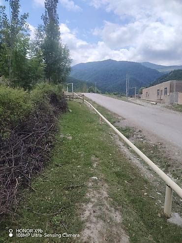 Tikinti — 1