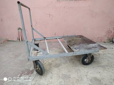 bakida toxum satisi: 250 Azn Əlaqə saxlayın real alıcılar — 1