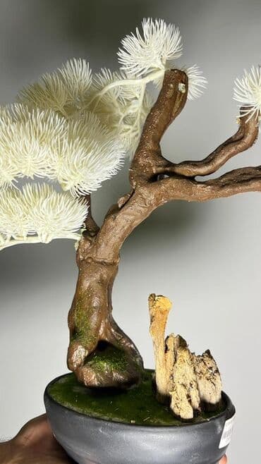 budda: Süni bonsai ağacı – dekorativ içməkan yaşıllaşdırma üçün - Realistik — 35