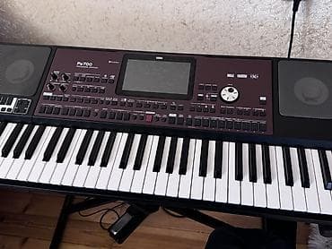 Korg Pa700 Professional Arranger – Oriental versiya Xüsusiyyətlər: -