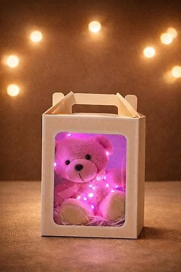 LED işıqlı yumşaq ayıcıq – hədiyyəlik set Yumşaq oyuncaq Teddy Bear