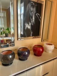 El arasında peyğənbər ılıncı adlanan esil adı sansevieria olan