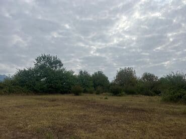 qubada torpaq satilir 2020: 110 sot, Tikinti — 12