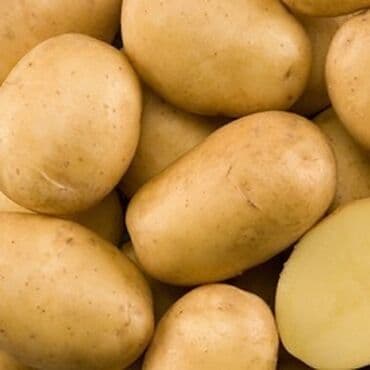 Kartof Gedebey saheden yigilib secilmeyib qarisiq sekilde satilir. 20