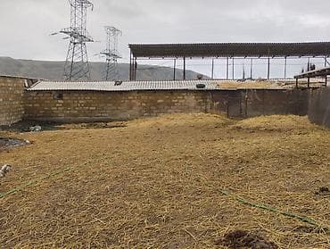3 otaqlı mənzillərin satışı: Ferma kompleksi – mal-qara saxlanışı üçün hazır infrastruktur - Geniş — 9