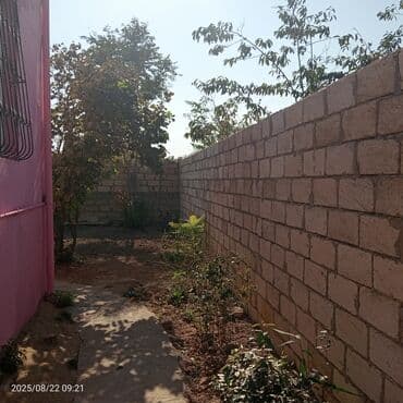 yaşıl dərə həyət evləri: 1 otaqlı həyət evi – bağ sahəsi ilə - Giriş: Həyətyanı sahəyə açılan — 7