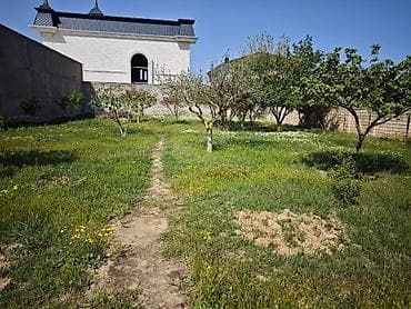 Otaqlar: 6 sot, Makler, Kupça (Çıxarış) — 4