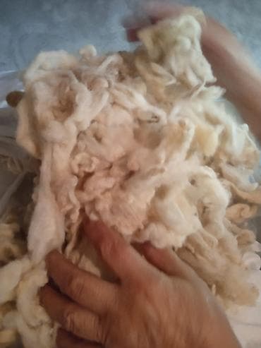 bambu tekstil: Yuyulmuş qoyun yunu satılır. 1 kq mı 1 manata.Köçlə bağlı ucuz — 4