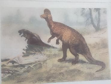 cipsi sekilleri: Məhsul: Dinozavr mövzusunda vintage illüstrasiya çapları dəsti — 2