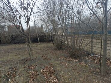 Kənd təsərrüfatı lalafo.az -da Kənd təsərrüfatı