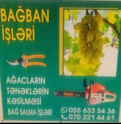 Уборщицы: Садовник требуется, Больше 6 лет опыта, Гибкий график — 1