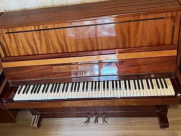 Клавишные инструменты: LIRIKA şaquli pianino - Korpus: parlaq laklı təbii ağac finişi — 3