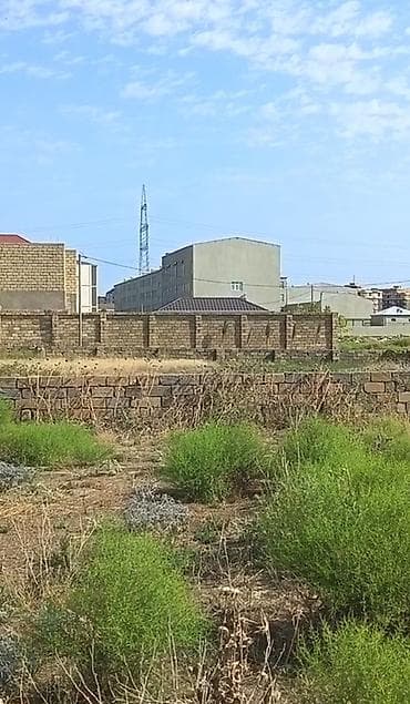 topaq: 9 sot, Tikinti, Kupça (Çıxarış) — 3