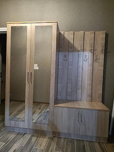 Yeni, 2 qapılı, Güzgülü, Digər rəng, Digər material, Açılan, Düz dolab