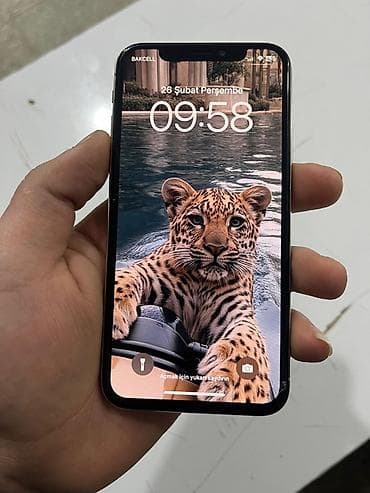 IPhone X, Gümüşü, Face ID