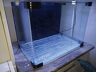 Digər heyvanlar: Şüşə akvarium. Zavod istehsalidir. - Forma: ön hissəsi radiuslu — 1