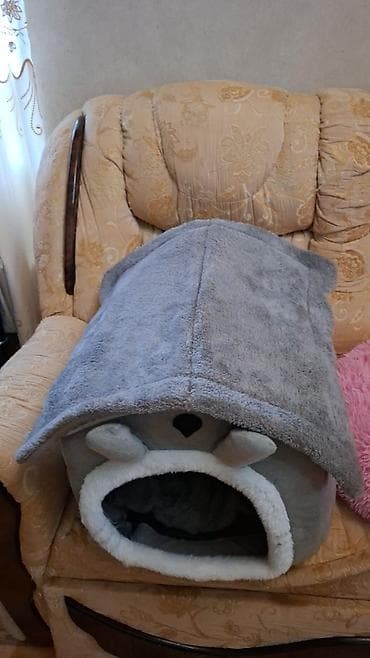 ev heyvanları it: Britan, Erkək, Dişi, Yaxşı əllərə — 7