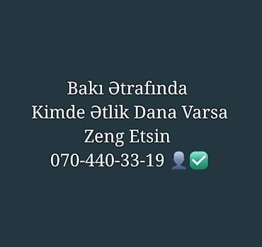 С/х животные и товары: Bakı və ətrafında ətlik Dana axtarışı. Satış üçün ətlik Dana olanlar — 1