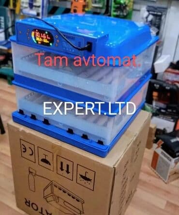 hinduska yumurtasi nece gune cixir: Expert şirkətinin rəsmi istehsalı olan, android-rejimli aparatların — 15