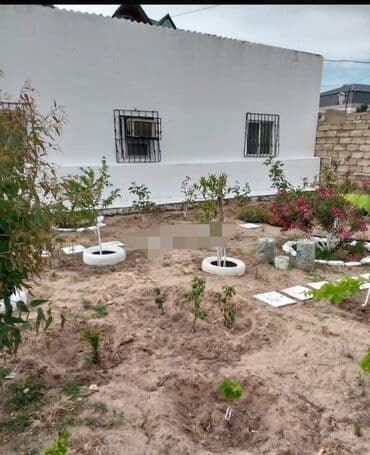 sumqayitda 1 otaqli kiraye evler: 100 kv. m, 3 otaqlı — 1