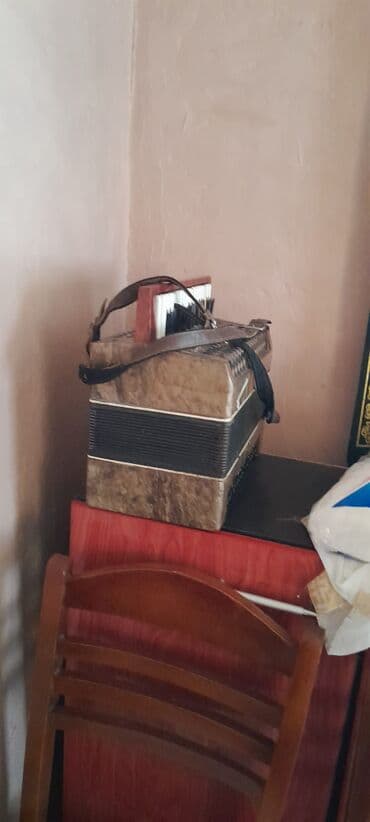 Lincoln: Акустический Аккордеон, Б/у — 3