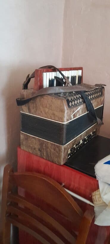 Lincoln: Акустический Аккордеон, Б/у — 2