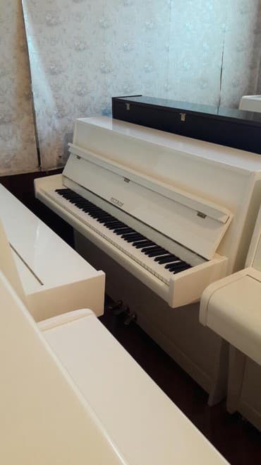 terlan elekberov: Pianino PETROF cexya stehsalı. Ideal vəziyyədə. Cadırılma və — 4