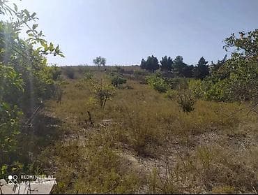 rest time novxani: 24 sot, Tikinti, Kupça (Çıxarış) — 4