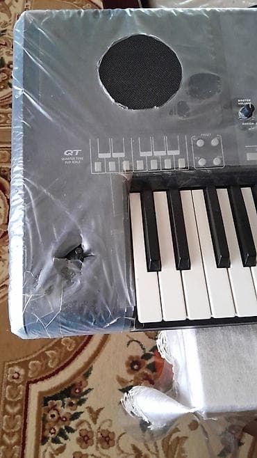 Спорт и отдых: Синтезатор, Korg — 1