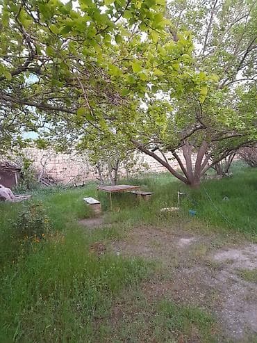 8 sot, Kənd təsərrüfatı, Kupça (Çıxarış) — 10