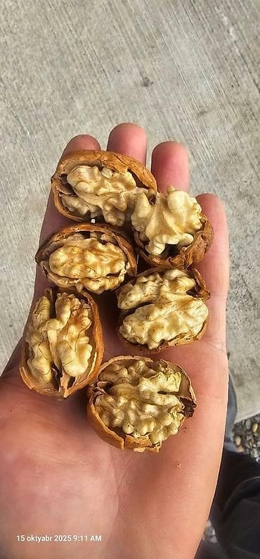 çərəz: Орехи чандлер местное вырашивание с тонкой скорлупой минимальная — 2