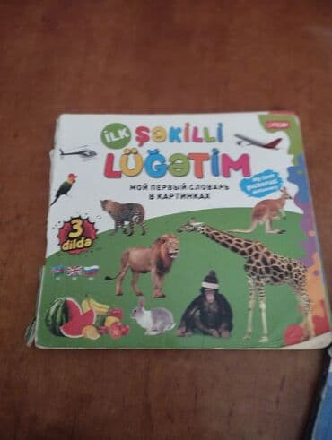 русский язык 2 класс e derslik: Uşaqlar üçün nəzərdə tutulmuş "İlk Şəkilli Lüğətim" adlı kitab. Bu — 1