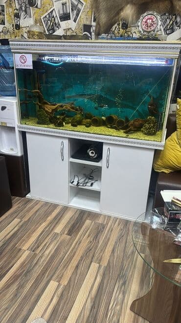 Bıçaqlar: Uzunu 120 eni 45 hunduru 61 qiyməti 280 azn nagd 300 azn kreditle — 1