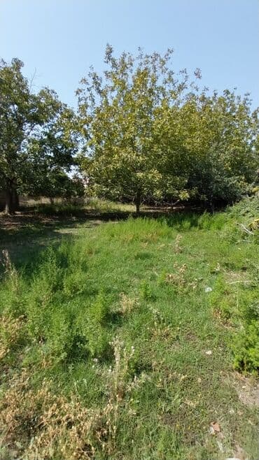 binə atçılıq torpaq satılır: 8 sot, Tikinti, Maklerlər narahat etməsin, Kupça (Çıxarış) — 10