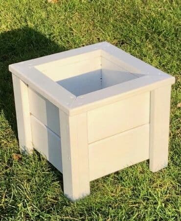 orkide qiyməti: Dibçək və dibçək atlıqlarının sifarişlə hazırlanması Qiymət minimum — 7