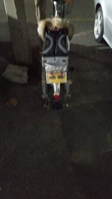 velosabet: Elektrik velosiped/skuter - Şəhər içi gediş-gəliş və çatdırılma üçün — 10