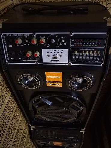 Mikrofonlar: TEMEISHENG Professional Sound – Karaoke və tədbirlər üçün səs sistemi — 5