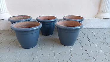 lladro baku: Dibçəklər. bir ədədi 15 manat. 8 ədəddir. Əla vəziyyətdədir — 1