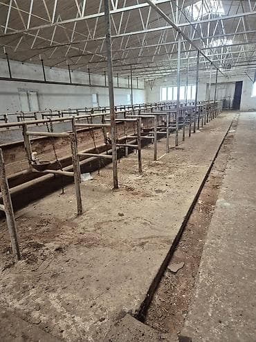 ucar emlak: Ferma mal saxlamaq üçün mükemmel bir yerdi erazisi böyük ve elave — 1