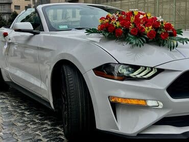 su getiren masinlar: Günlük, Hyundai, Depozitsiz — 27